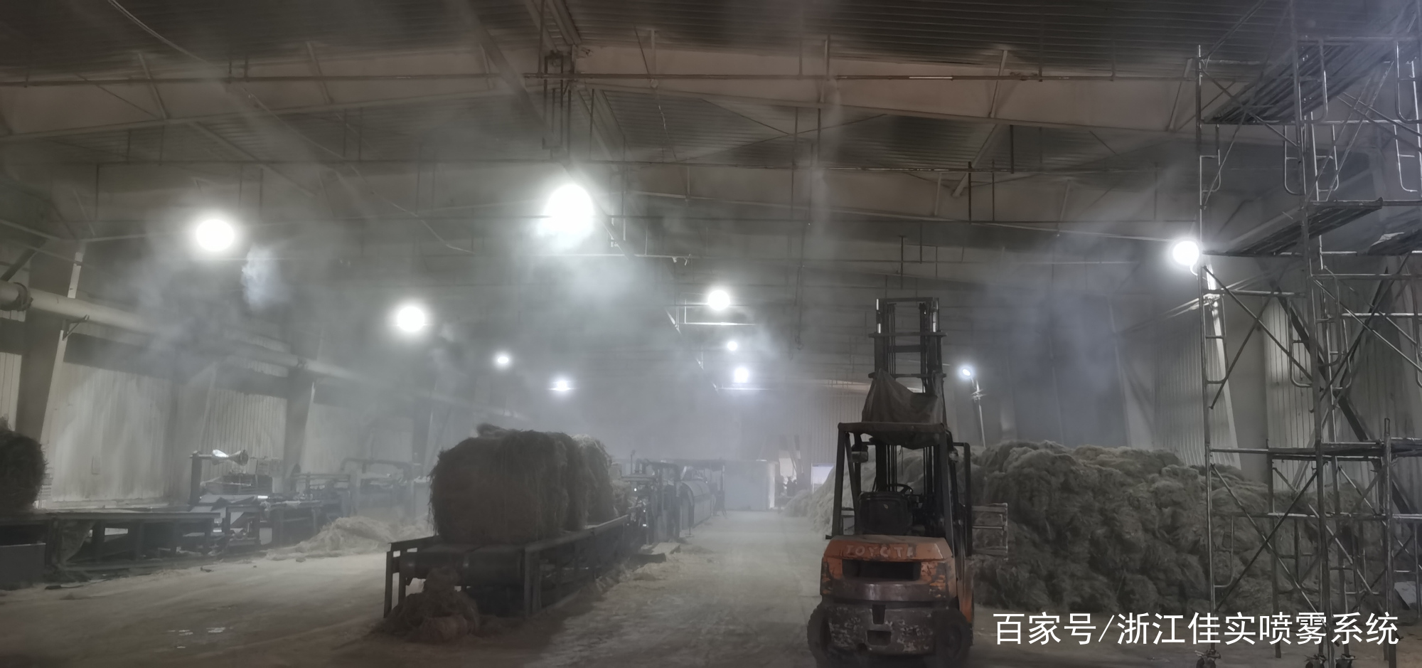 濕度控制在食用菌大棚種植中的重要性